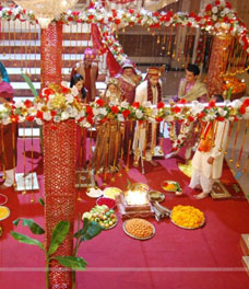 Astrology consultancy Astrology consultancy